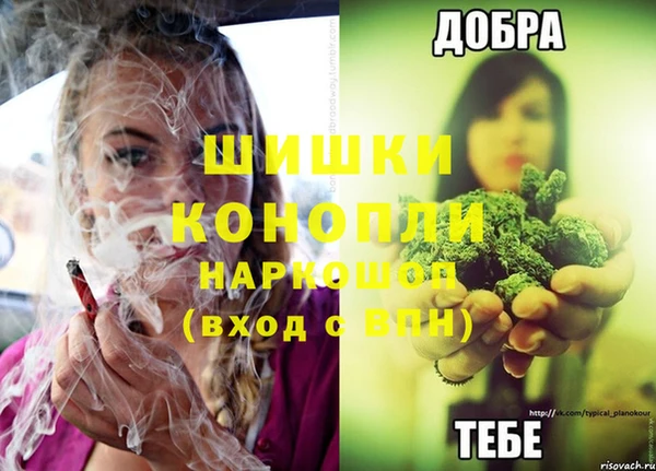 таблы Бородино